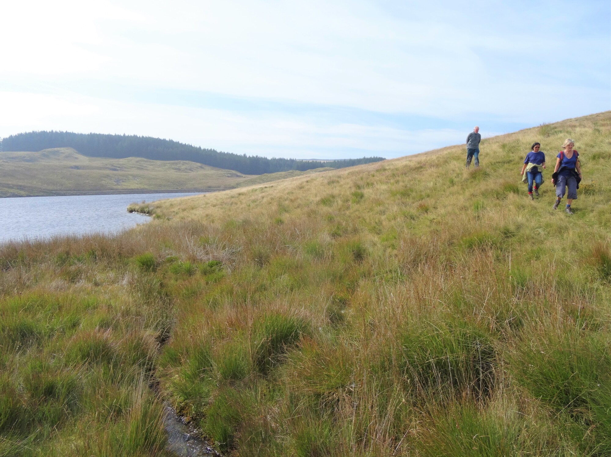 RachelSeabrook.net | Wild Walking | Craig y Pistyll | pic22
